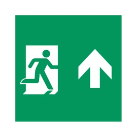 Фото #1 товара Пиктограмма EMGP-MARK-MA-UP (Человек, Вверх) (Arlight, Пластик)