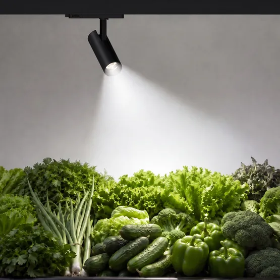 Фото #2 товара Светильник LGD-GERA-4TR-R90-30W Day SP5000-Veg (Черный, 24 deg, 230V) (Arlight, IP20 Металл, 5 лет)