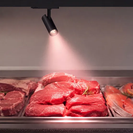 Фото #4 товара Светильник LGD-GERA-4TR-R90-30W Warm SP2900-Meat (BK, 36 deg, 230V) (Arlight, IP20 Металл, 5 лет)