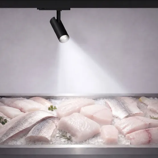 Фото #2 товара Светильник LGD-GERA-4TR-R90-30W Cool SP7500-Fish (Черный, 24 deg, 230V) (Arlight, IP20 Металл, 5 лет)