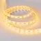 Минифото #3 товара Светодиодная лента RTW 2-5000SE 12V Yellow 2x (5060, 300 LED, LUX) (Arlight, 14.4 Вт/м, IP65)